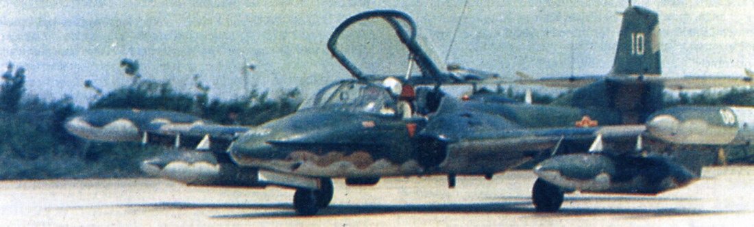 vietnama37dragonfly.jpg