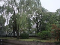 No Photo
